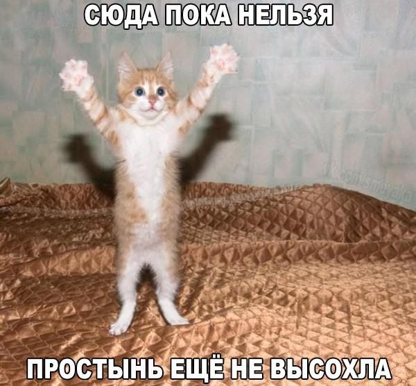 Смешные свежие мемы