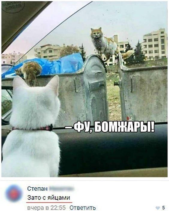 Картинки с надписями