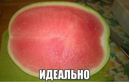 Смешные свежие мемы