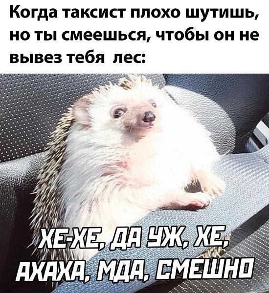 Смешные свежие мемы