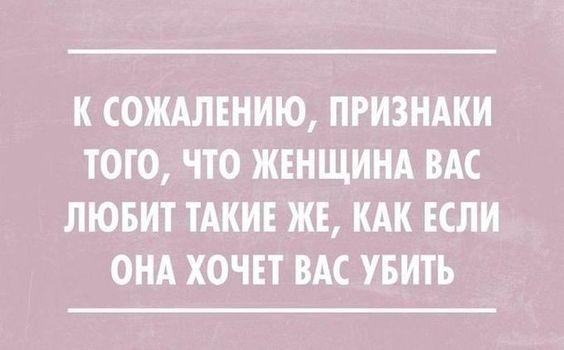 Подробнее о статье Лучшие шутки обо всем