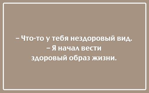 Подробнее о статье Новые прикольные до слез шутки