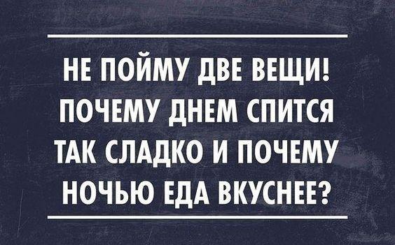 Подробнее о статье Свежие самые смешные шутки