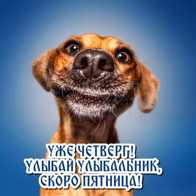 Read more about the article Мемы про четверг