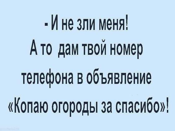 Подробнее о статье Картинки с новыми смешными шутками