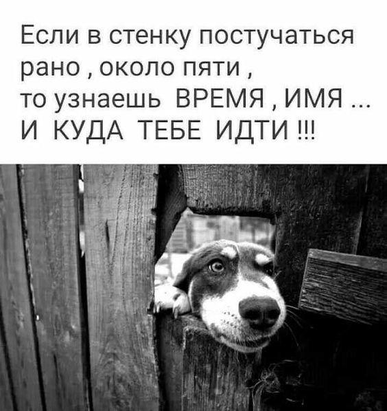 Смешные свежие мемы среды