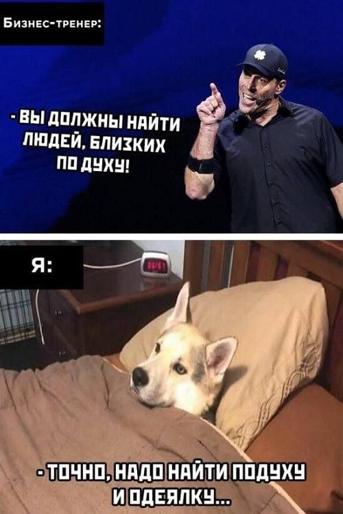 Свежие смешные мемы понедельника