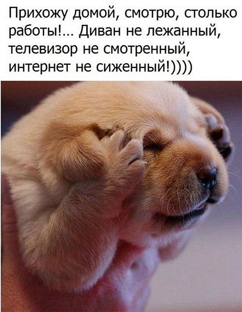 Свежие смешные мемы вторника