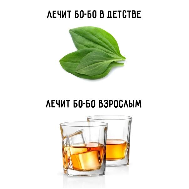 Свежие смешные до слез мемы вторника