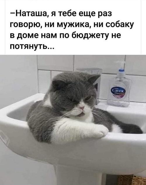 Свежие смешные до слез мемы среды