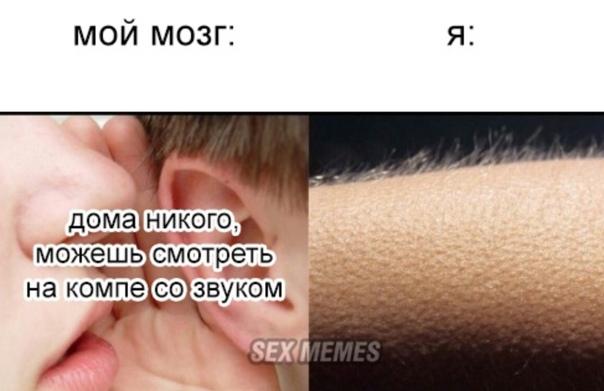 Свежие смешные до слез мемы среды