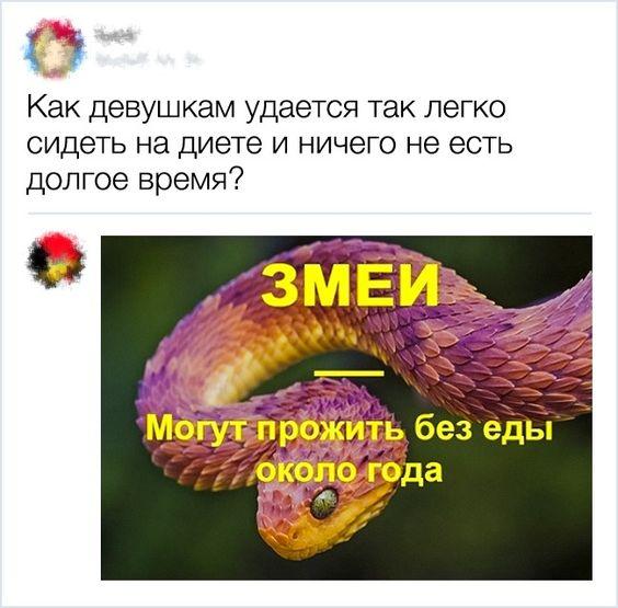 Свежие самые смешные мемы понедельника