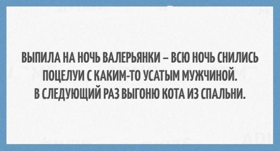 Подробнее о статье Читать новые шуточки