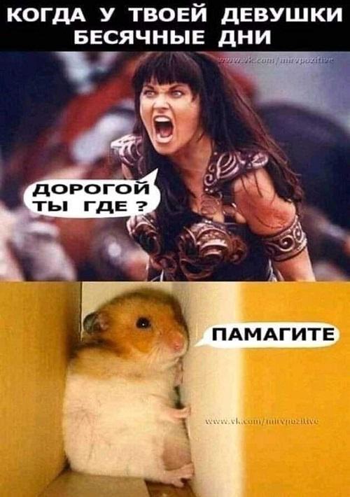 смешно о девушках