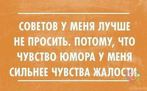 Подробнее о статье Свежие прикольные шуточки