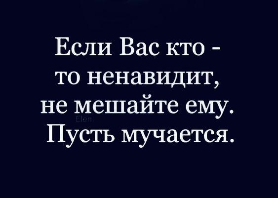 Подробнее о статье Свежие убойные шуточки