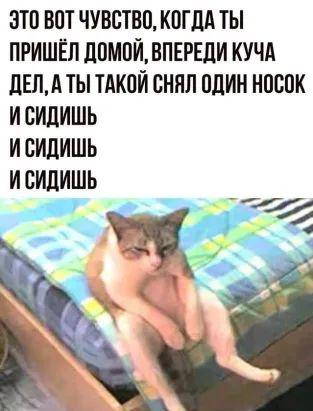 Свежие прикольные мемы пятницы