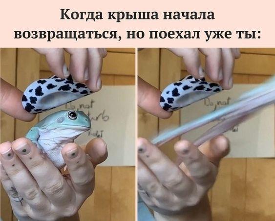 Свежие прикольные до слез мемы субботы