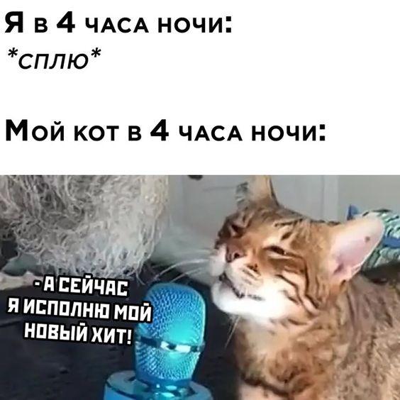 Свежие ржачные до слез мемы воскресенья