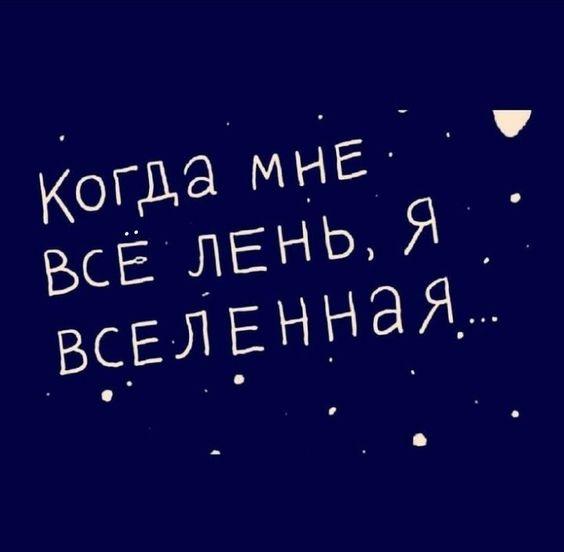 Подробнее о статье Прикольные до слез статусы