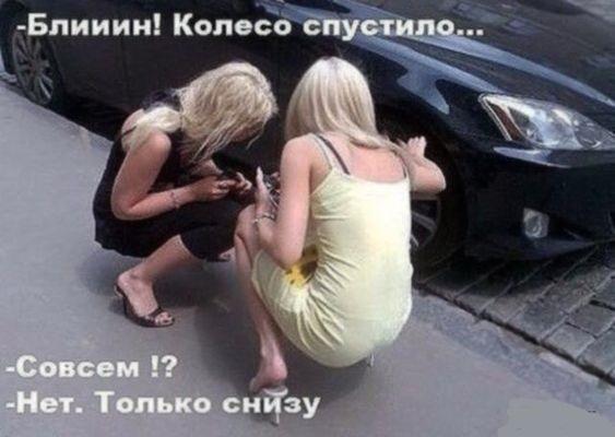 смешно о блондинках