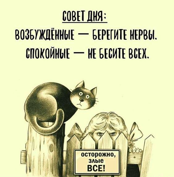 Свежие забавные мемы вторника