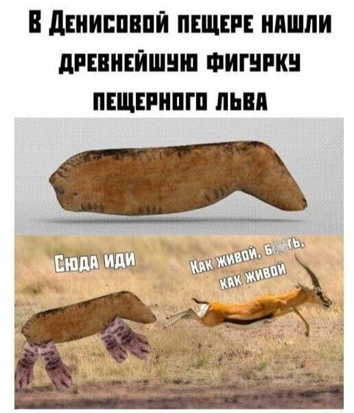 Свежие лучшие мемы понедельника