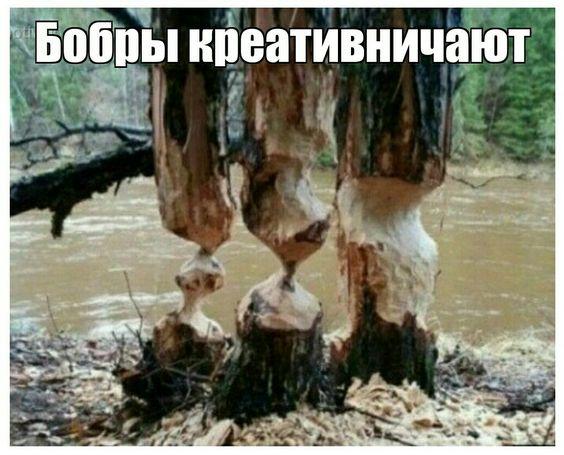 Свежие лучшие мемы вторника