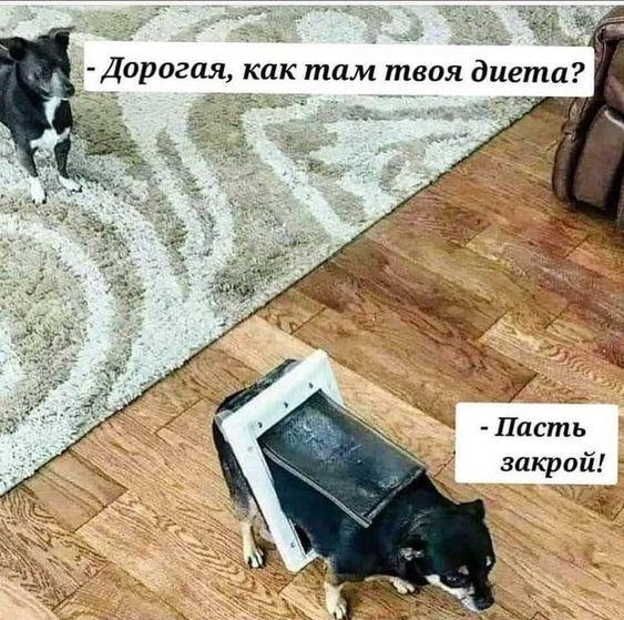 Свежие классные мемы четверга