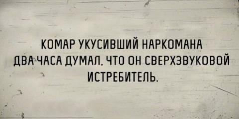 Подробнее о статье Свежие лучшие шутки среды