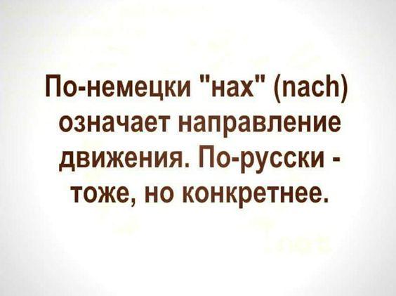 Подробнее о статье Свежие лучшие шутки воскресенья