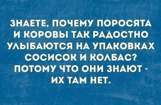 Подробнее о статье Свежие веселые шутки среды