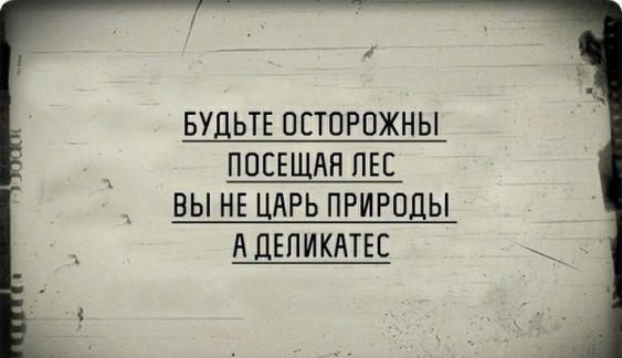 Подробнее о статье Улетные ржачные шуточки