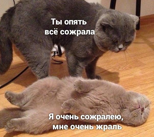 Свежие хорошие мемы четверга