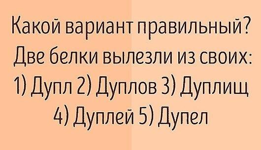 Угарные картинки с надписями вторника