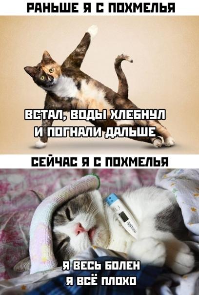 Свежие убойные мемы воскресенья