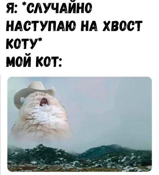 Свежие убойные мемы четверга