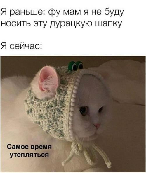 Свежие убойные мемы субботы