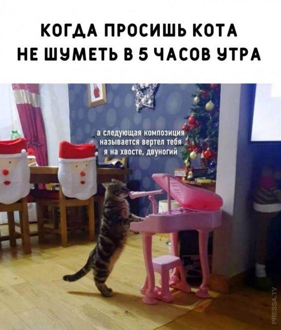 Свежие убойные мемы субботы