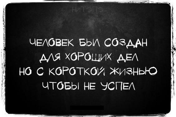 Подробнее о статье Смешные и веселые шуточки