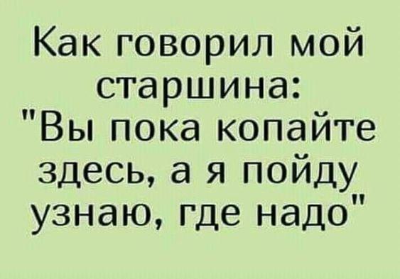 Подробнее о статье Свежие убойные шутки четверга