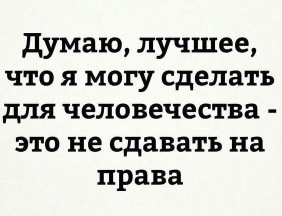 Подробнее о статье Свежие улетные шутки четверга