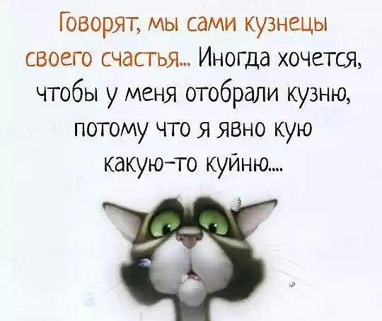 Подробнее о статье Смешные до слез статусы о жизни