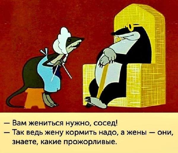 Классные цитаты на картинках