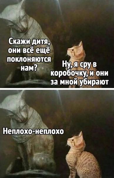 Новые мемы четверга