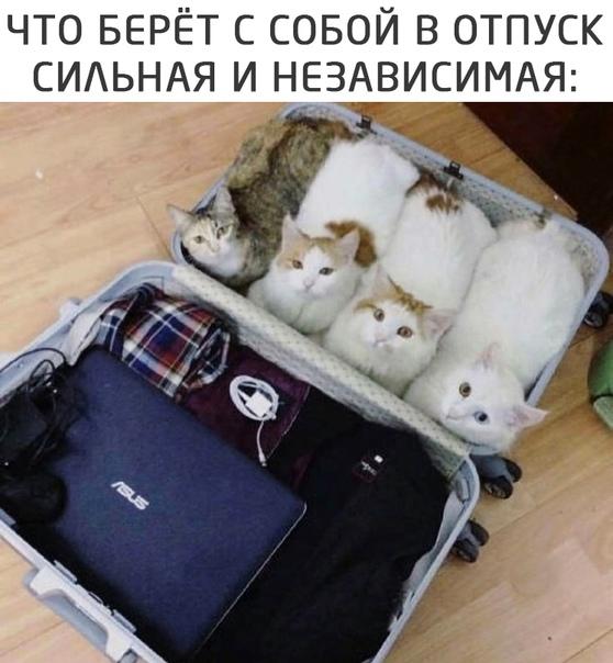 Новые смешные мемы четверга