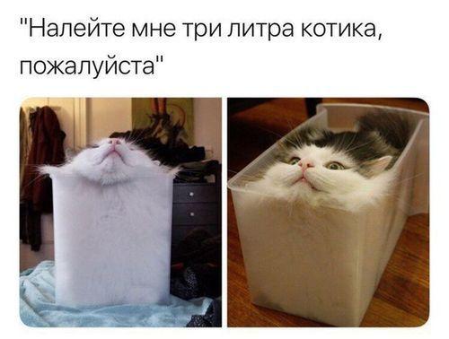 Новые смешные до слез мемы вторника