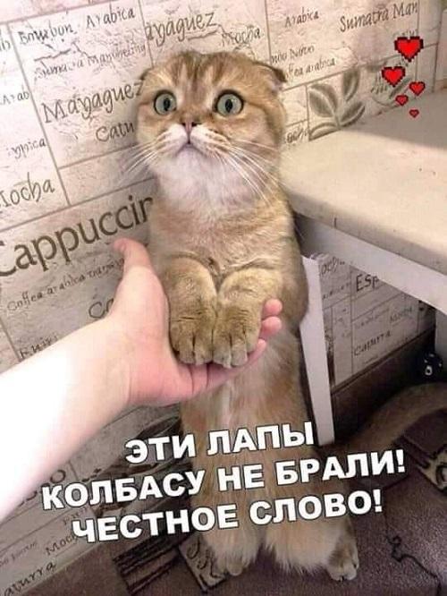 Новые очень смешные мемы четверга