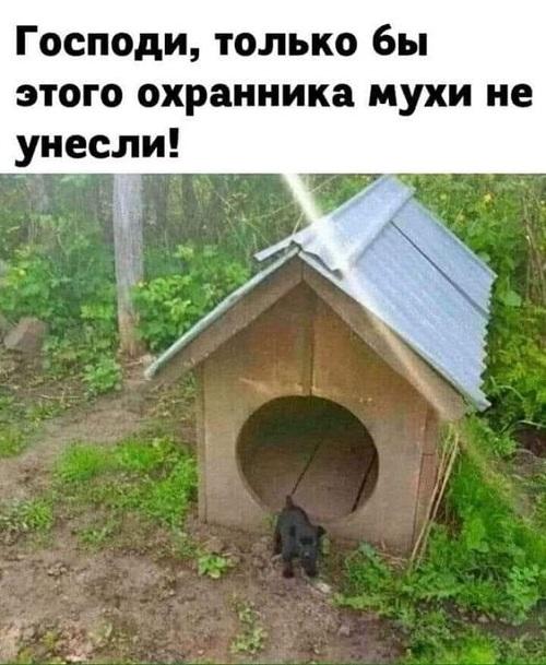 Новые прикольные мемы четверга