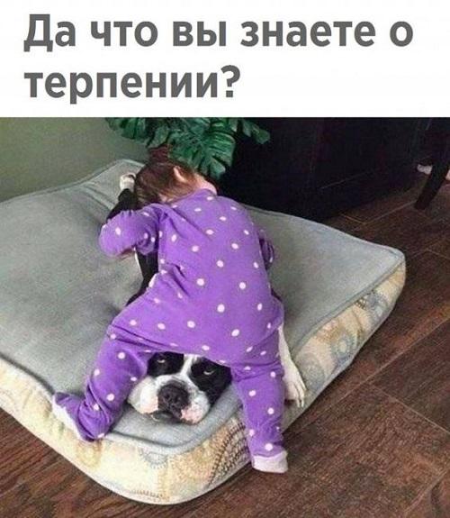 Новые ржачные до слез мемы понедельника